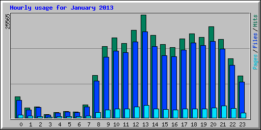 Hourly usage for January 2013