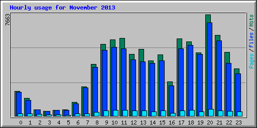 Hourly usage for November 2013
